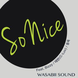 Listen to So Nice (Instrumental) song with lyrics from Wasabii Sound