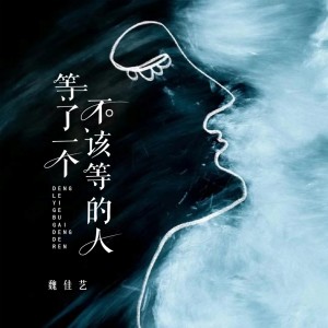 收聽魏佳藝的等了一個不該等的人 (完整版)歌詞歌曲