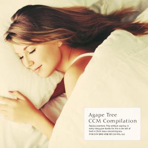 อัลบัม CCM piano for happy sleep of Agape tree Vol.3 ศิลปิน Various Artists