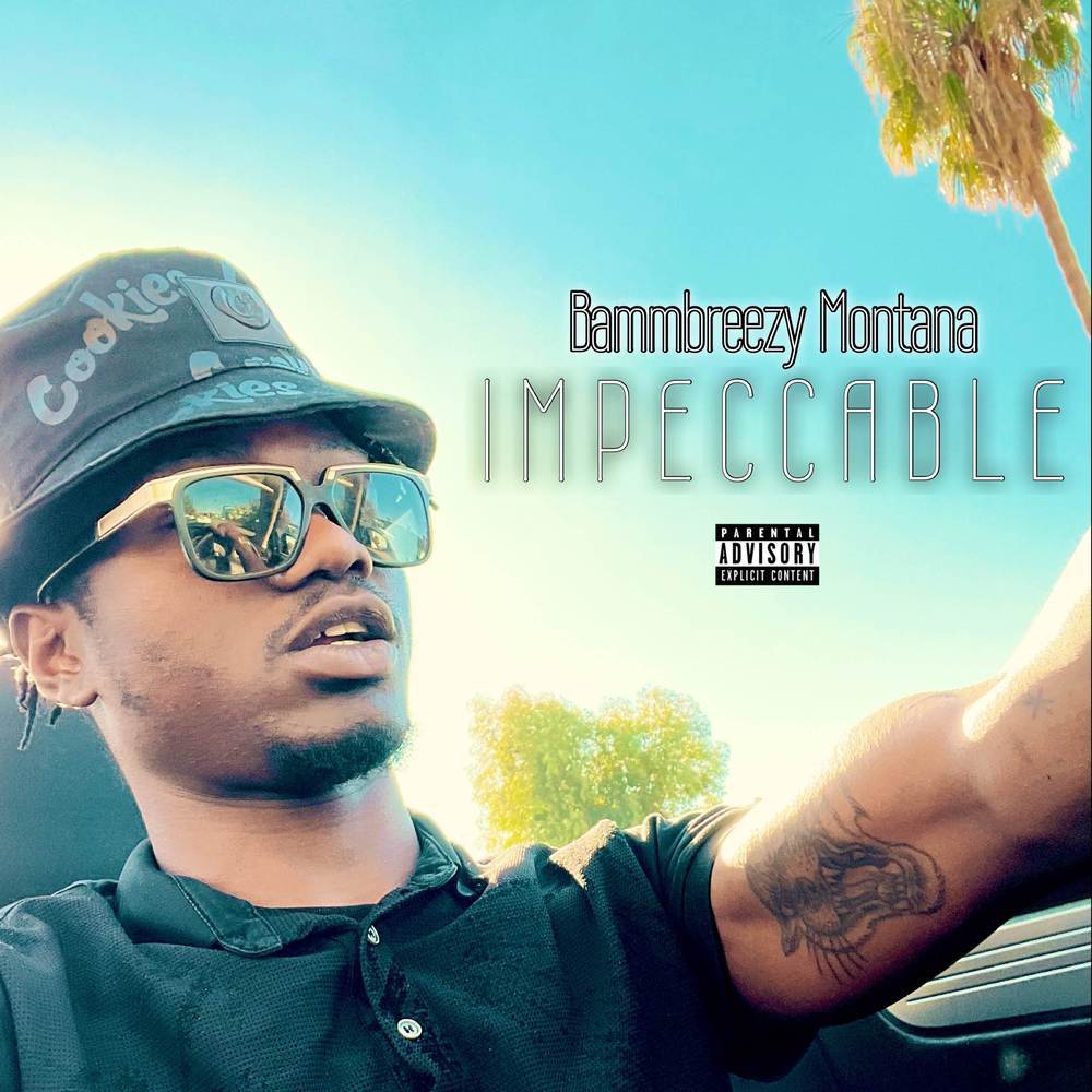 Industry Fake (Explicit)