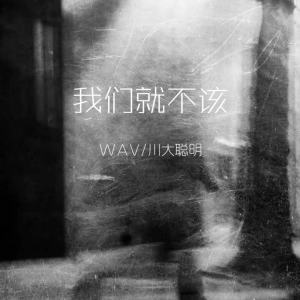 Album 我们就不该 from WAV
