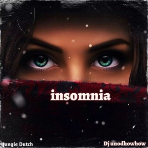อัลบัม INSOMNIA (Remix) ศิลปิน Dj unodhowhow