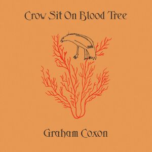 Dengarkan You Never Will Be (Explicit) lagu dari Graham Coxon dengan lirik