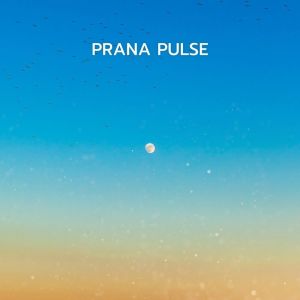 Album Prana Pulse from AXL