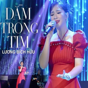 Album Dằm Trong Tim oleh LUONG BICH HUU