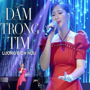 LUONG BICH HUU的專輯Dằm Trong Tim