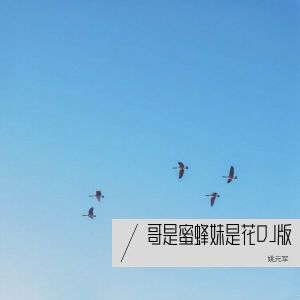 Listen to 哥是蜜蜂妹是花DJ版 (伴奏) song with lyrics from 姚元军