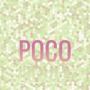 Listen to Against Gsp song with lyrics from Nica Macs
