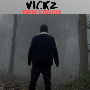 Dengarkan Now I Know (Explicit) lagu dari Vickz dengan lirik