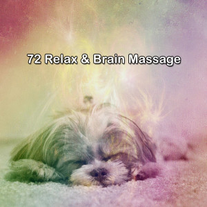Serenity Spa Music Relaxation的專輯72 Relax & Brain Massage
