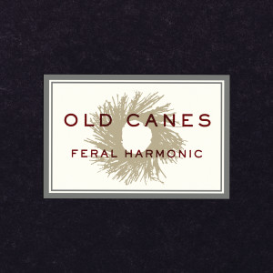 ดาวน์โหลดและฟังเพลง Under พร้อมเนื้อเพลงจาก Old Canes