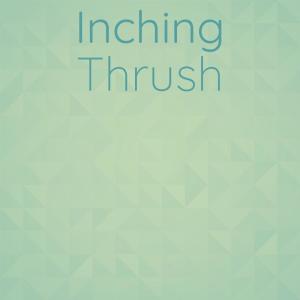 Album Inching Thrush from 