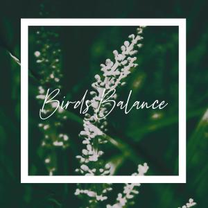 Dengarkan Birds Balance lagu dari Blue Cat Guy dengan lirik