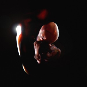ดาวน์โหลดและฟังเพลง Alicia Keys (Bonaventure Remix) (Explicit) (Bonaventure Remix|Explicit) พร้อมเนื้อเพลงจาก Prison Religion