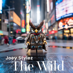 Listen to The Wild (Explicit) song with lyrics from Joey Stylez