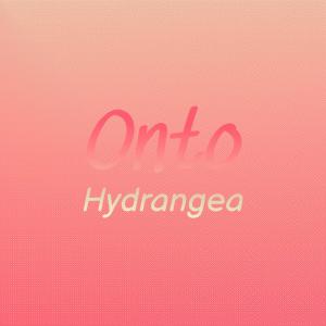 Listen to Obscured Lacklustre song with lyrics from Dala Hener