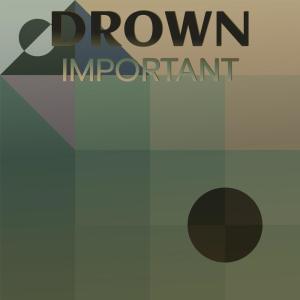 อัลบัม Drown Important ศิลปิน Various