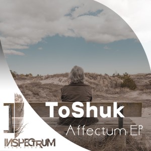 收聽ToShuk的Affectum (Original Mix)歌詞歌曲