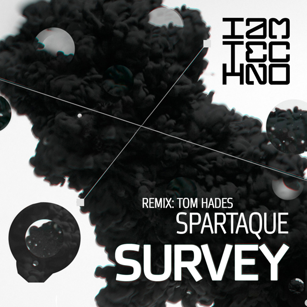 Survey (Original Mix)