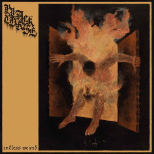 Dengarkan lagu Endless Wound (Explicit) nyanyian Black Curse dengan lirik