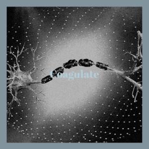 Listen to Tabby Squawk song with lyrics from Sanan Kirsi