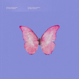 Album Butterflies from Johnny Stimson