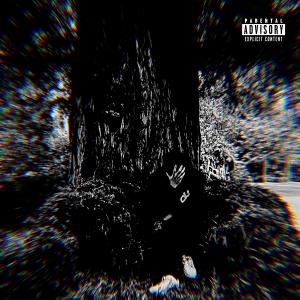 收聽2xJay的YRNPP (feat. ripstick) (Explicit)歌詞歌曲