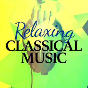 ดาวน์โหลดและฟังเพลง The Carnival of the Animals: XIII. The Swan พร้อมเนื้อเพลงจาก Up North Session Orchestra