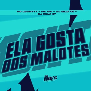 Ela Gosta Dos Malotes (Explicit) dari Dj Silva 06