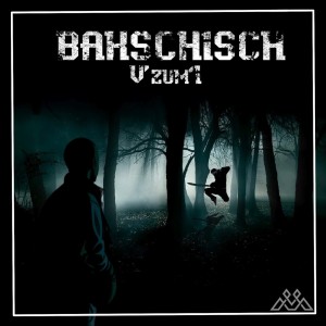 Listen to Bakschisch (Explicit) song with lyrics from V'zum'I