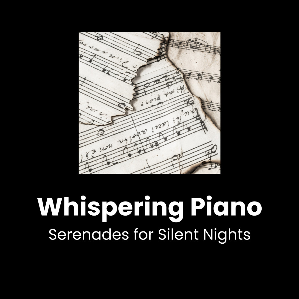 Piano in Night's Silence