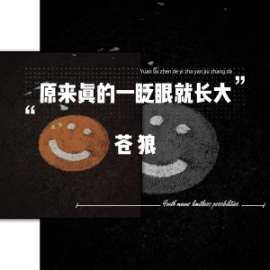 Listen to 原来真的一眨眼就长大 song with lyrics from 苍狼