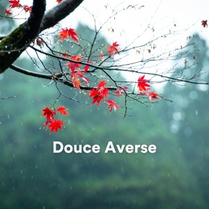 Relaxing Rain的专辑Douce Averse