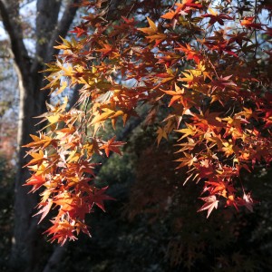 ดาวน์โหลดและฟังเพลง Haroldo พร้อมเนื้อเพลงจาก Francisco Sicilia