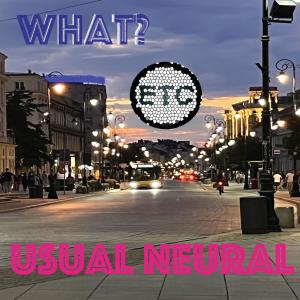 ETC的專輯Usual Neural