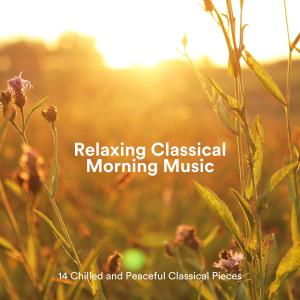 Chris Snelling的专辑Relaxing Classical Morning Music: 14 Chilled and Peaceful Classical Pieces