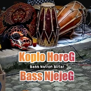 Dengarkan KOPLO HOREG BASS NJEJEG lagu dari Bass Nation Blitar dengan lirik