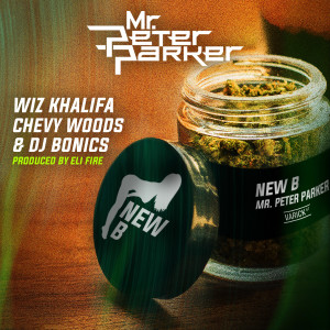 Listen to New B song with lyrics from Mr. Peter Parker