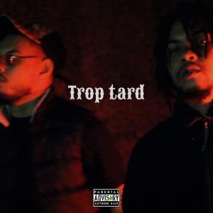 Album Trop tard (feat. Risbo) (Explicit) oleh Risbo