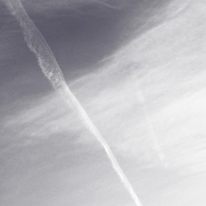 อัลบัม Moths & Stars ศิลปิน Aviva Endean