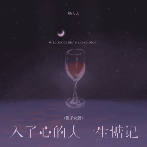 Album 入了心的人一生惦记（温柔女版） from 杨天天