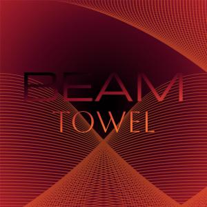 Various Artists的專輯Beam Towel