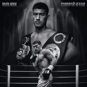 Dengarkan BIVOL HOOK (Explicit) lagu dari Самурай Келли dengan lirik