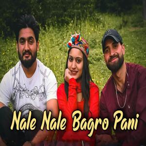 Listen to Nale Nale Bagro Pani song with lyrics from Jaswant Kumar