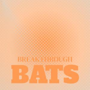 Various Artists的專輯Breakthrough Bats