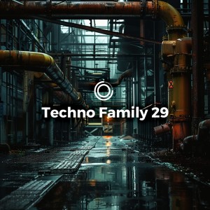 Various Artists的專輯Techno Family 29