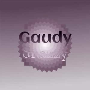 Various Artists的專輯Gaudy Snazzy