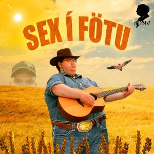 收聽AMMA的Sex í Fötu (feat. Þröstur & DJ Ravehunter)歌詞歌曲
