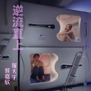 收听羅天宇的逆流直上歌词歌曲