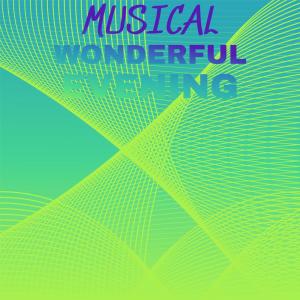 Various Artists的專輯Musical Wonderful Evening